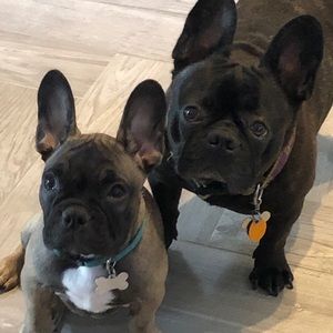 Meet your Posher, Martha